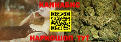 крисы Гусев