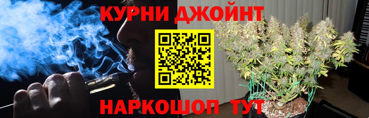 МАРИХУАНА конопля Нефтекумск